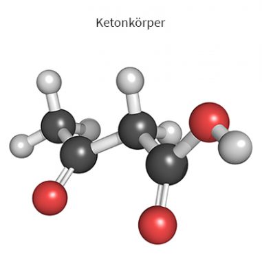 Keto und Körperfett - Die Rolle der Ketonkörper